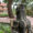 Outdoor Living - Landscape Restoration for a 7000-Square-Foot Samuel Maclure