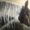 Uncategorized - April Ponsford and Eloise Dumas: May 28th - June 24th/2018