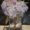Uncategorized - The Gallery In Bloom Group Show: April 29rd – May 26th/2019