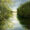 Uncategorized - Madrona Gallery Presents Corrinne Wolcoski: Reverence, Feb 1-14